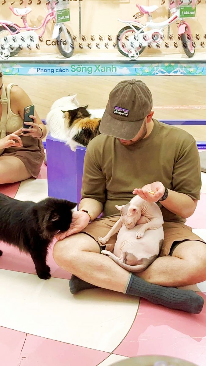 Một vị khách ngồi cùng mèo tại CATFE