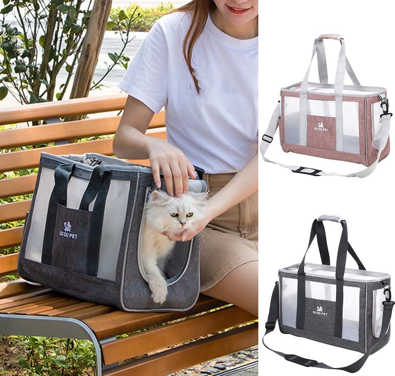 CATFE, cafe mèo TPHCM, quán cafe mèo lâu đời, cafe mèo quận 1, cafe mèo AEON, trải nghiệm cafe mèo, mèo đáng yêu, liệu pháp mèo.