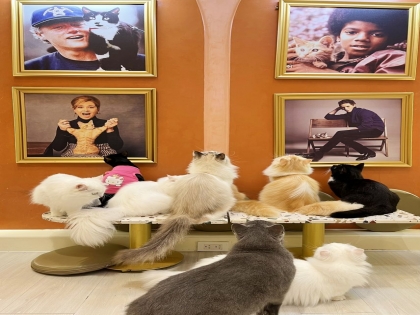 Thông báo đóng cửa CATFE Quận 1 từ 01/03/2026